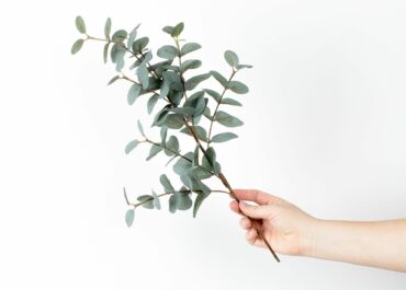 6 Things to Put in design